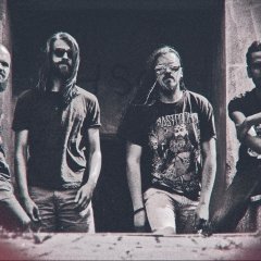 Жураўлі на Палесьсе ляцяць