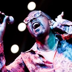 I Will Go to Where I Came