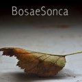 BosaeSonca выдалі акустычны альбом