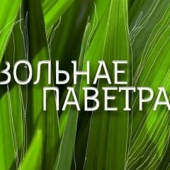Новы подых «Вольнага паветра» (відэа)