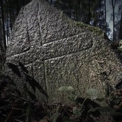 Ахвярная кроў Стоду Вечнасьці