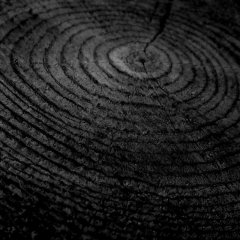 60 беларускамоўных гітоў сучаснасьці (аўдыё/відэа)