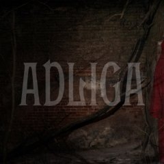 Вандроўнік