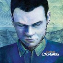 Мураш па скуры