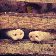 Гурт «Похва»: «Мы сьпяваем на мове прадаўшчыц» (спампаваць EP)