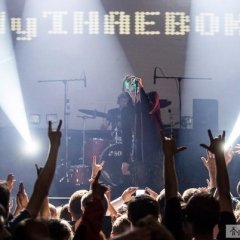 Драпежная котка