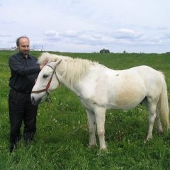 !OUT памяці Зьмітра Сідаровіча. Ад барда да дудара (аўдыё)